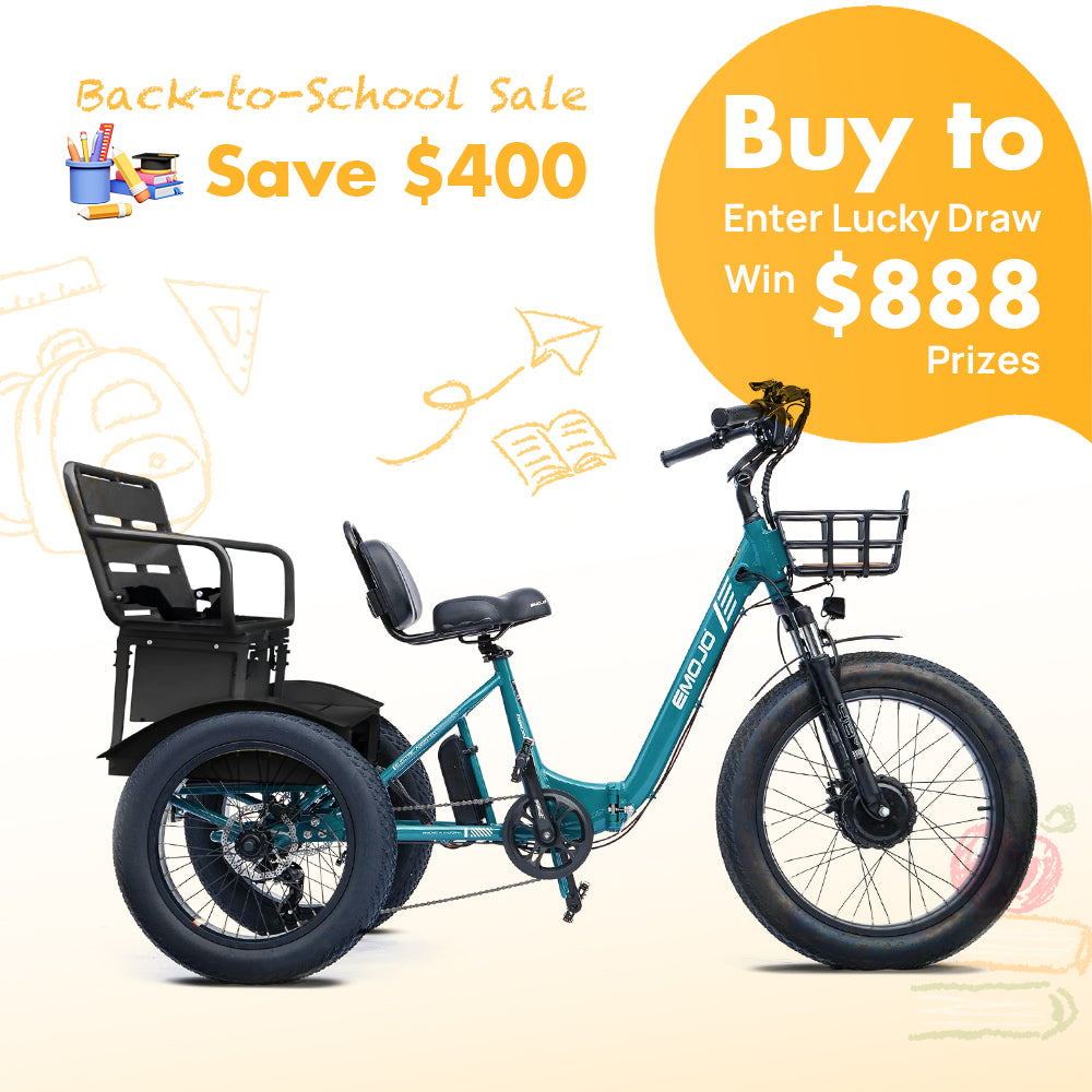 Bison Pro Urban Cruiser: Embrace Adventure with Comfort and Safety – Emojo Bike