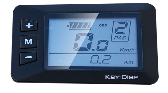 LCD Display M51