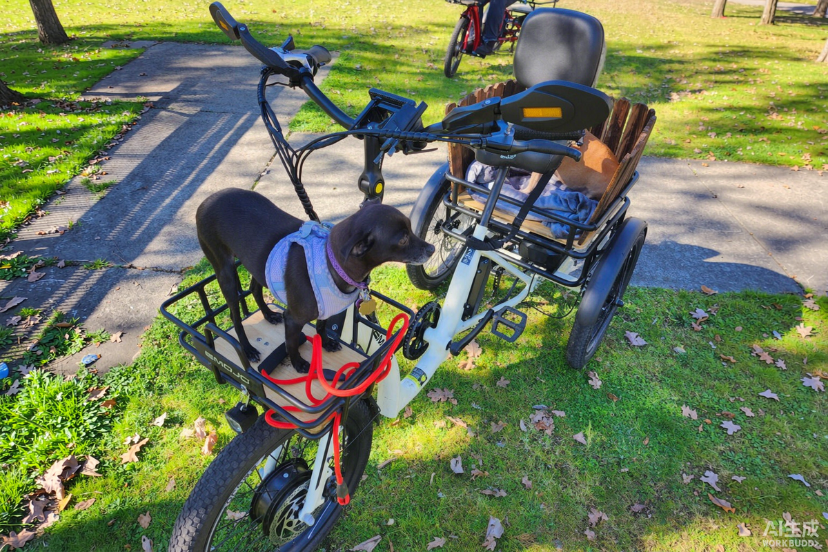Choosing an Electric Trike for Your Dog Safely
