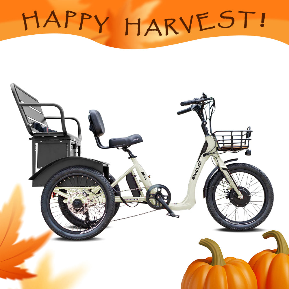 Bull Urban Cruiser – Emojo Bike