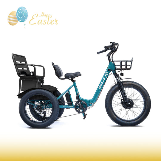 Bison Pro Urban Cruiser