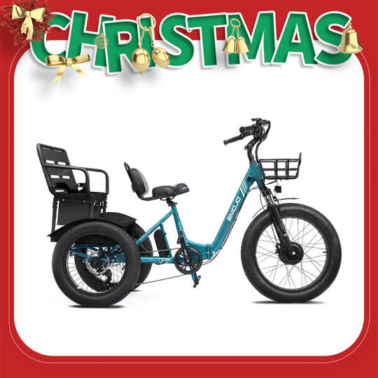 Bison Pro Urban Cruiser