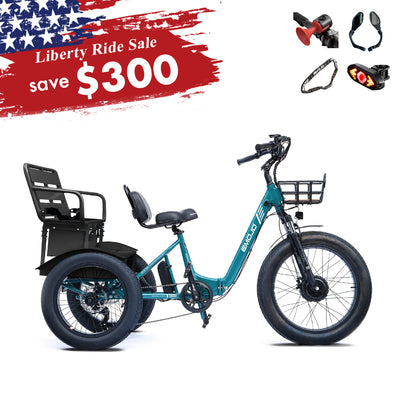 Bison Pro Urban Cruiser