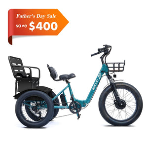 Bison Pro Urban Cruiser
