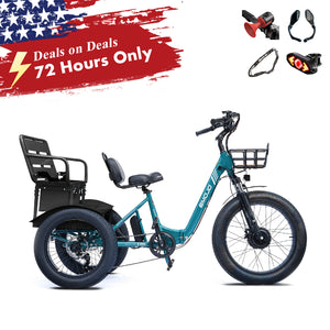 Bison Pro Urban Cruiser