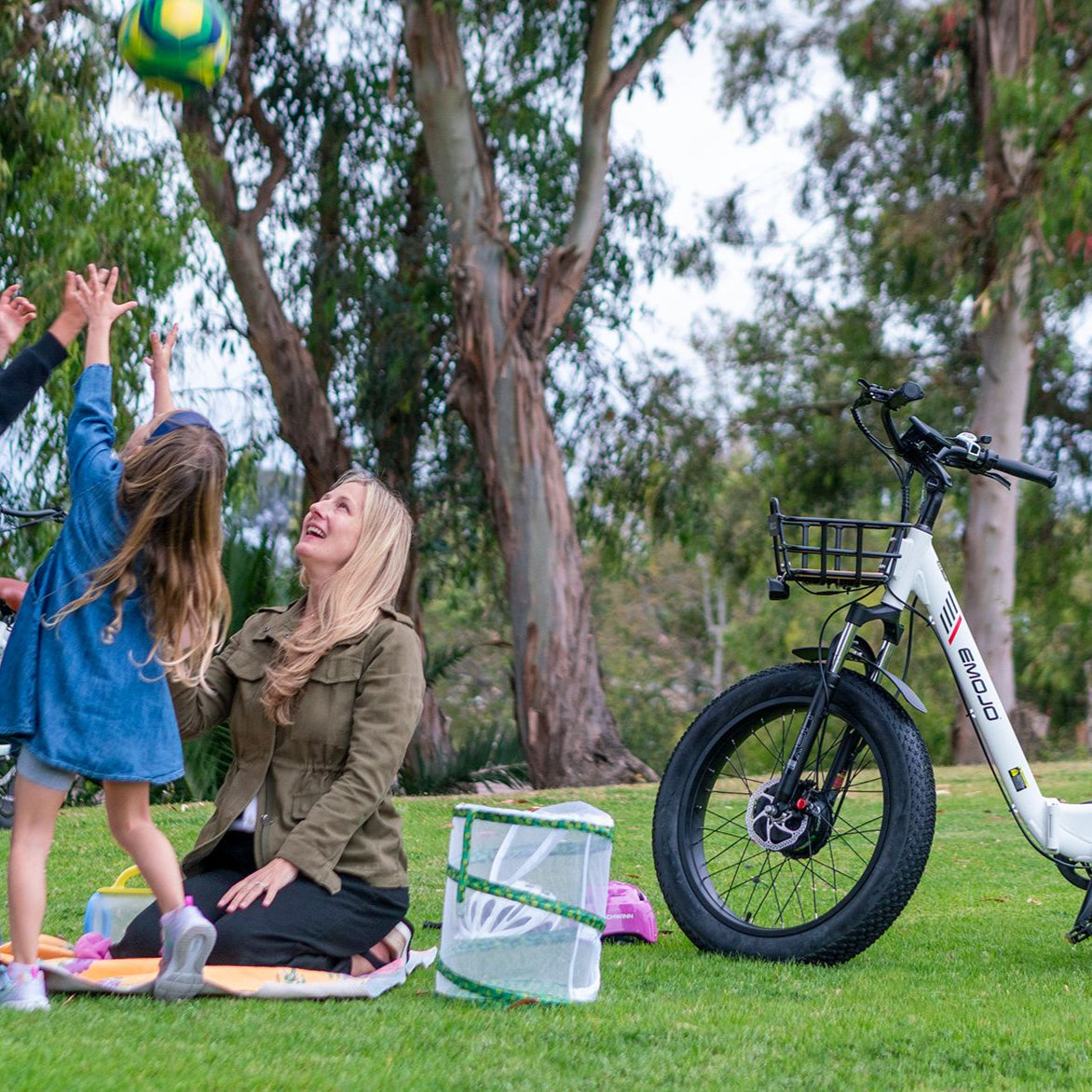 Bison Pro Urban Cruiser - Embrace Adventure with Comfort and Safety