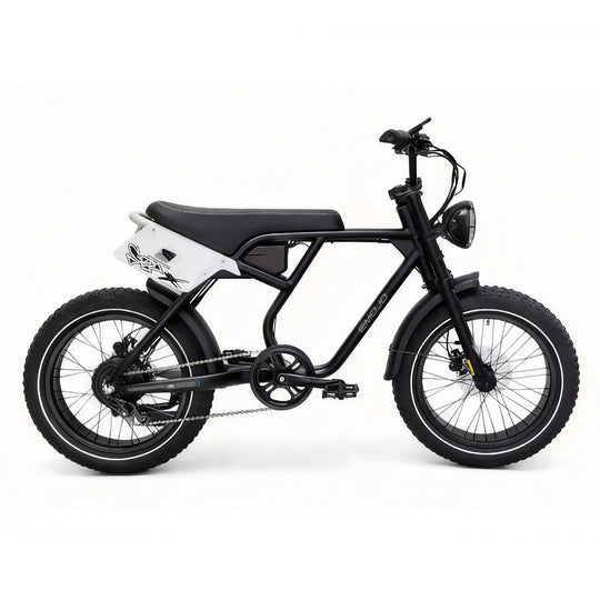 Street X 65 mile range ebike