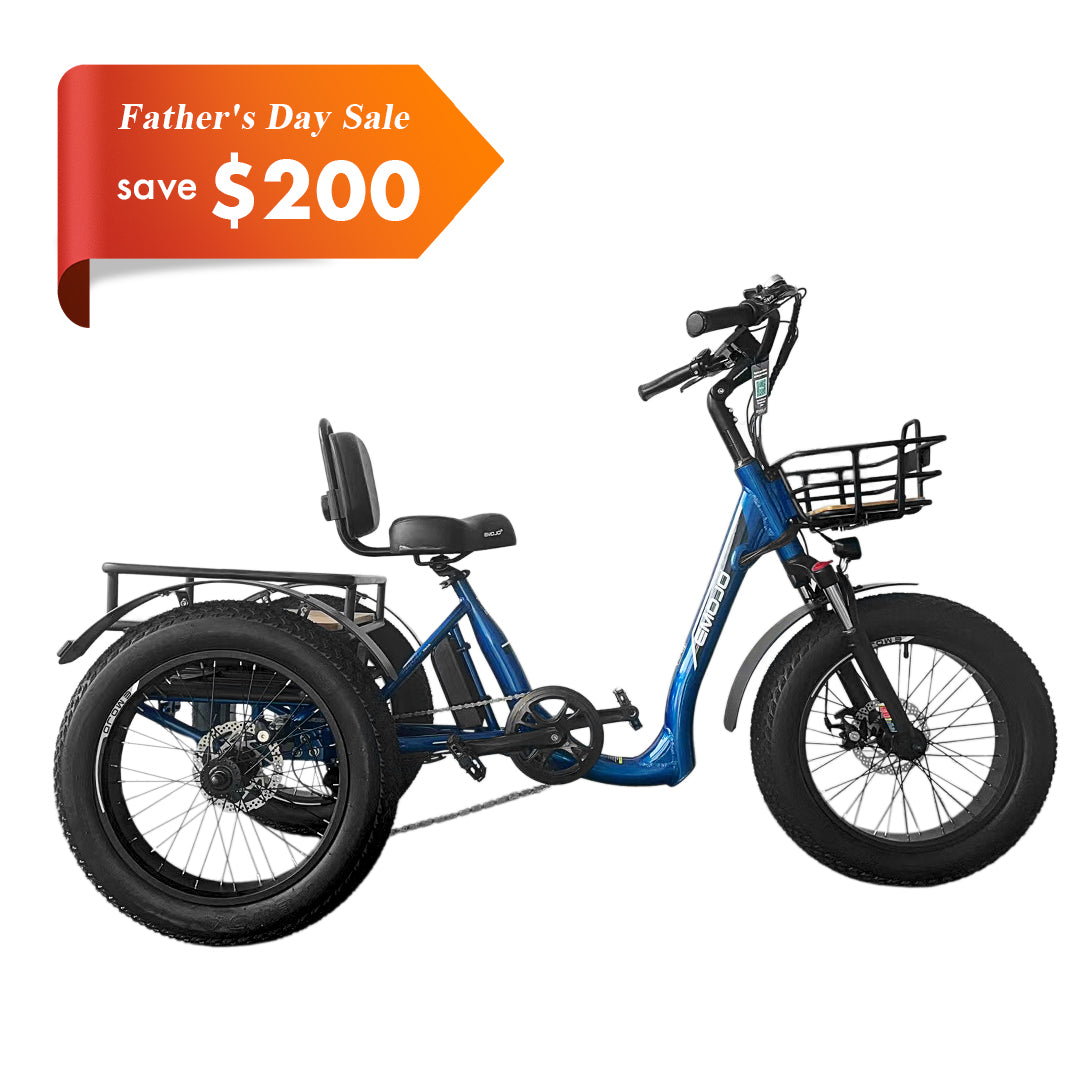 Trikes, electric trike in CA & best electric trike in FL - Emojo Bike Trikes, electric trike in CA & best electric trike in FL - Emojo Bike