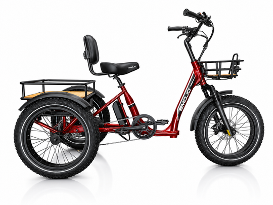 Bull Trail - All-Terrain Electric Trike for Ultimate Adventures
