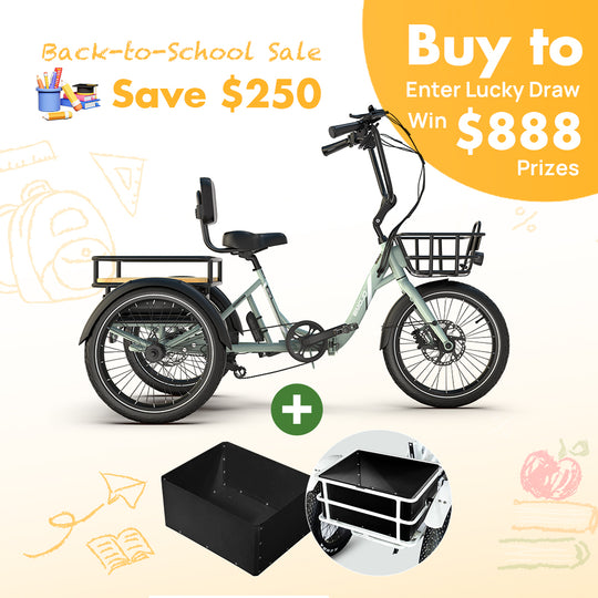 Dexter + Metal Box Bundle