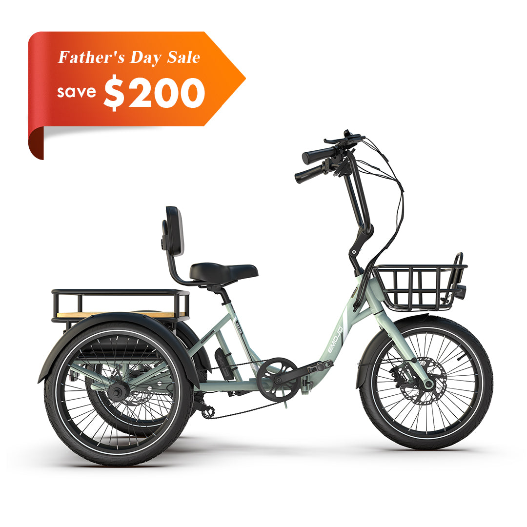 Dexter – Emojo Bike Dexter – Emojo Bike