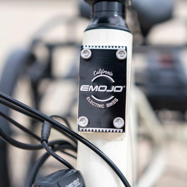 Bull Electric Trike - Power Your Ride with Style and Confidence