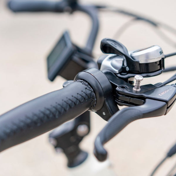 Bull Electric Trike - Power Your Ride with Style and Confidence