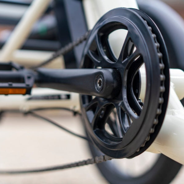 Bull Electric Trike - Power Your Ride with Style and Confidence
