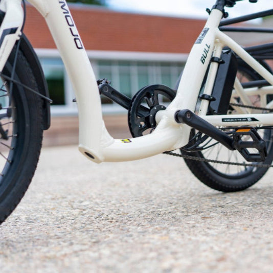 Bull Electric Trike - Power Your Ride with Style and Confidence