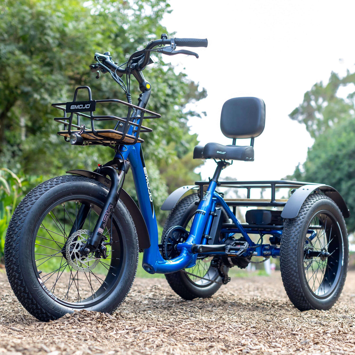 Bull Trail - All-Terrain Electric Trike for Ultimate Adventures