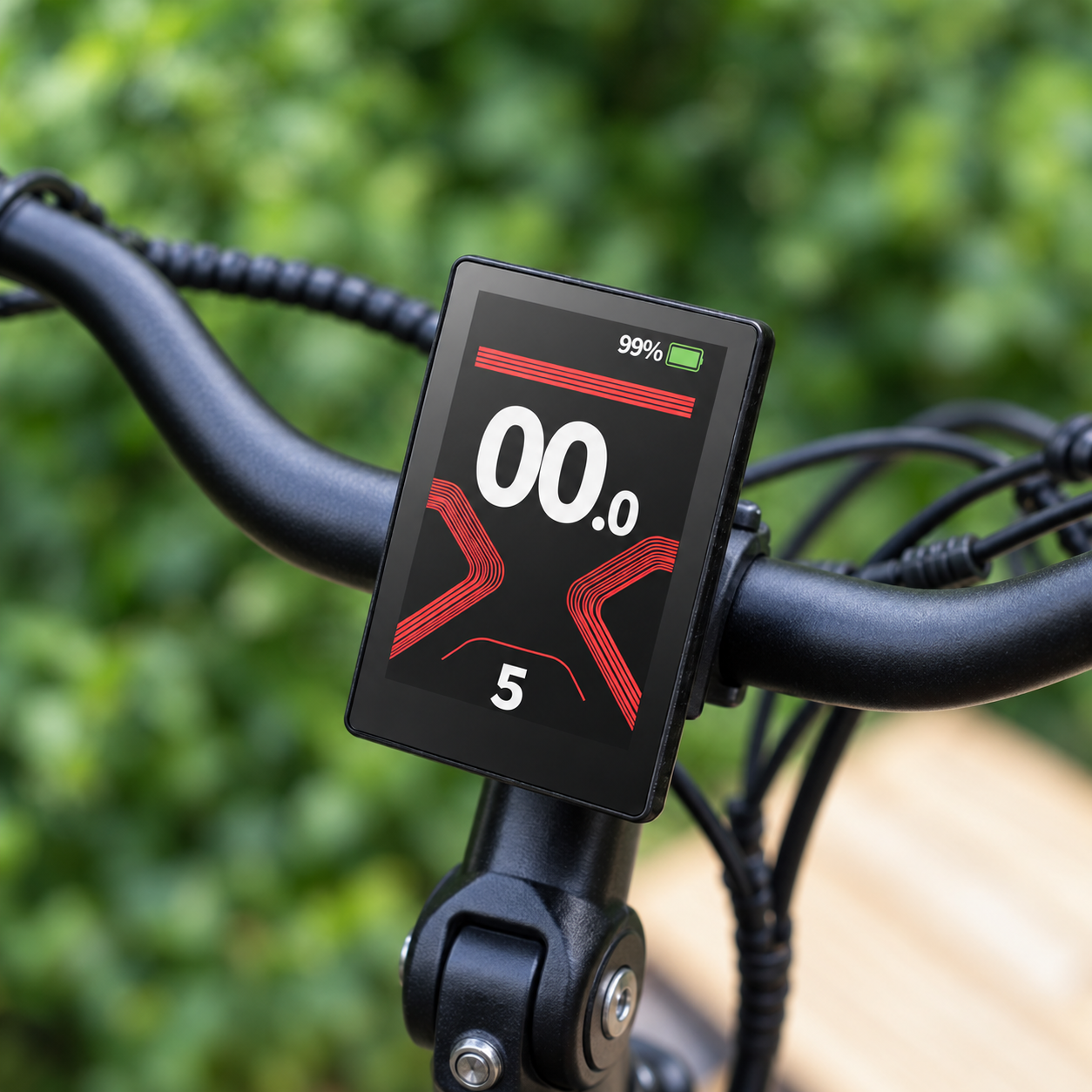 Color LCD Display