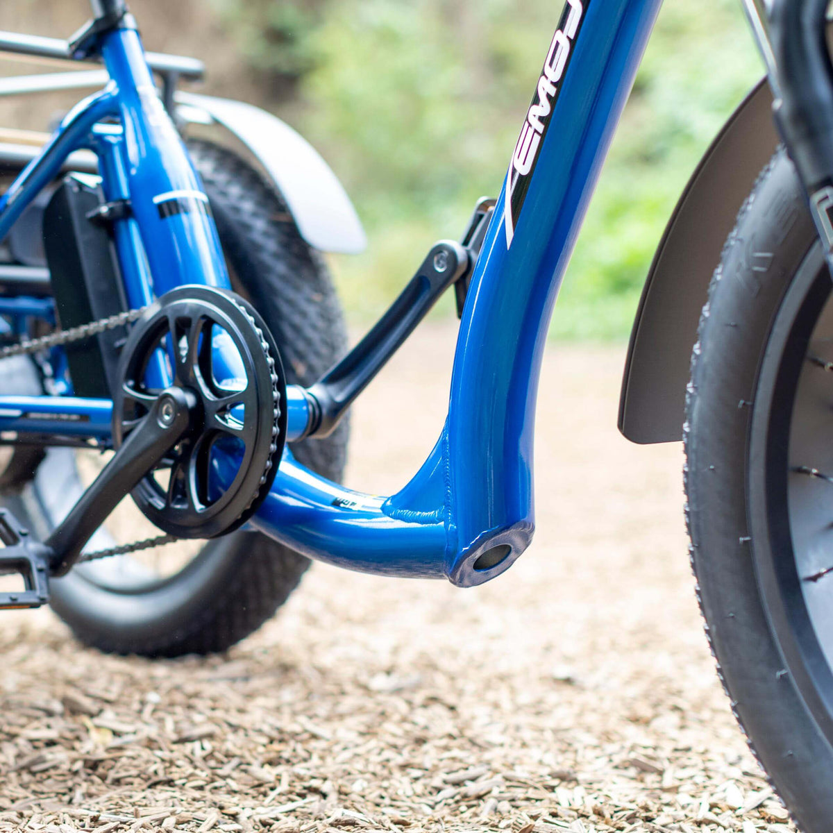 Bull Trail - All-Terrain Electric Trike for Ultimate Adventures