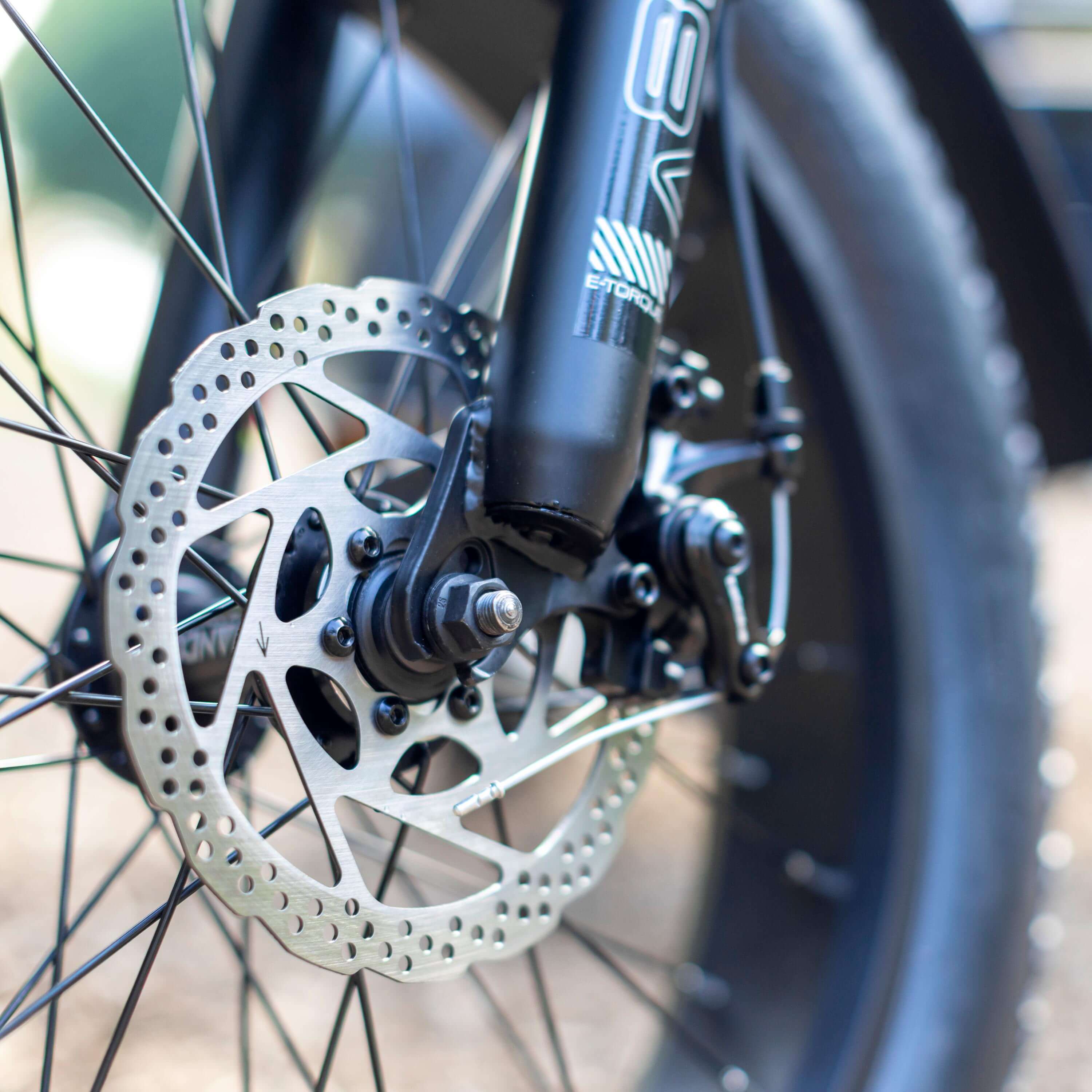 Bull Trail - All-Terrain Electric Trike for Ultimate Adventures