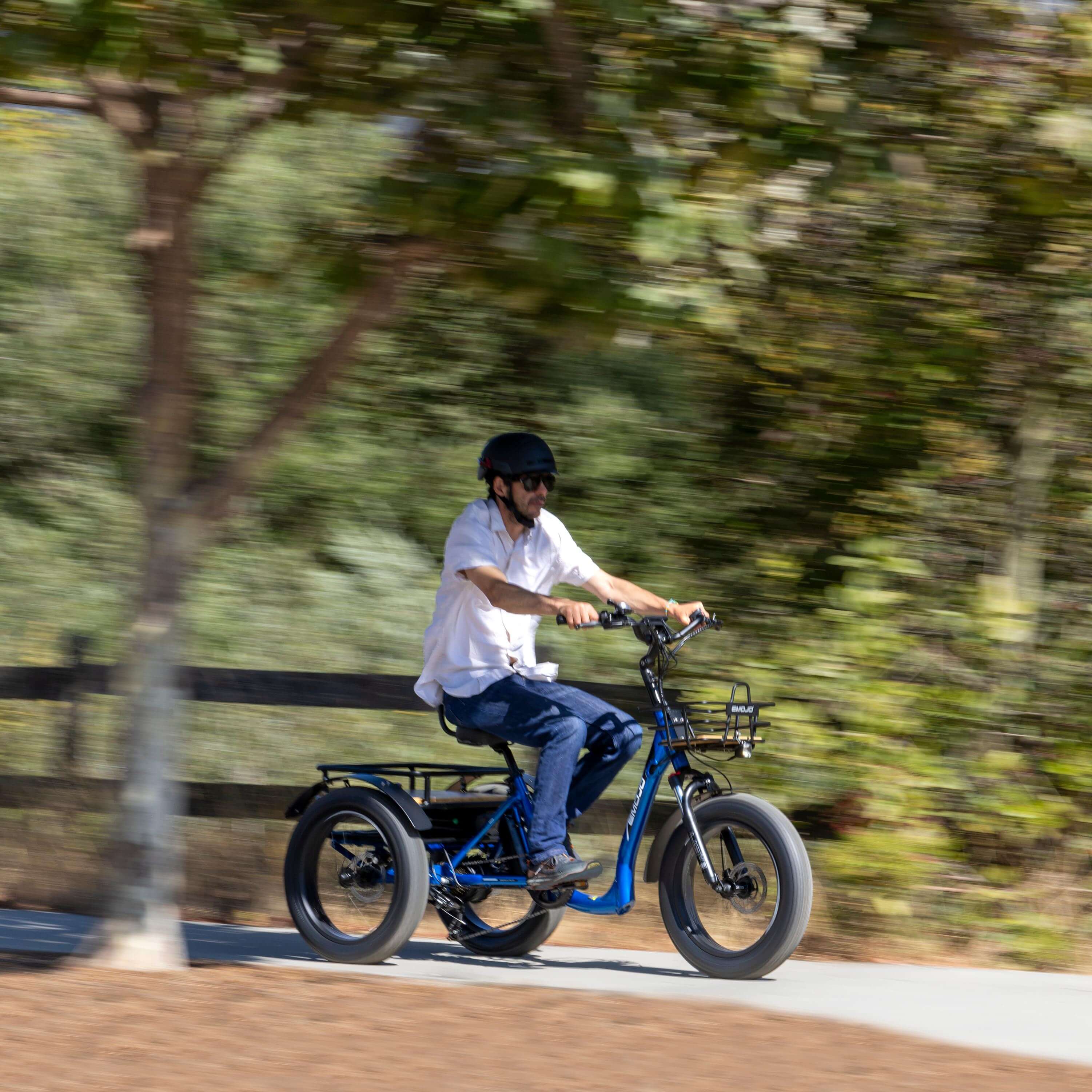 Bull Trail - All-Terrain Electric Trike for Ultimate Adventures