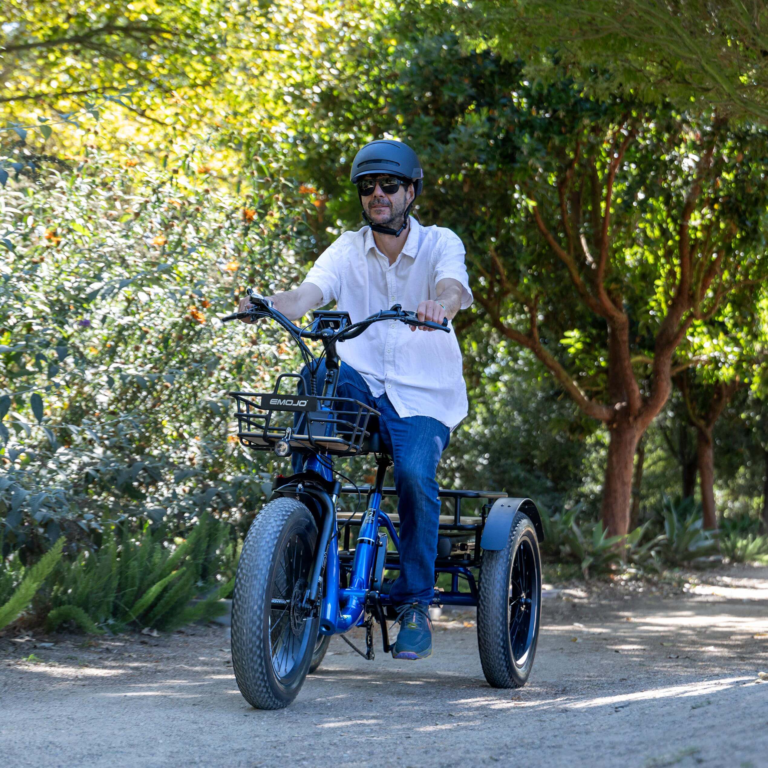 Bull Trail - All-Terrain Electric Trike for Ultimate Adventures