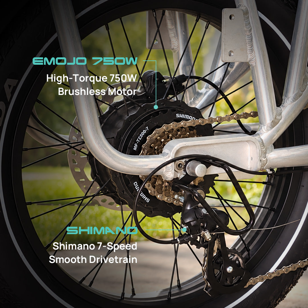 close-up of emojo cargo xplorer 750w high torque brushless rear hub motor and shimano 7 speed gears
