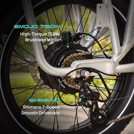 close-up of emojo cargo xplorer 750w high torque brushless rear hub motor and shimano 7 speed gears