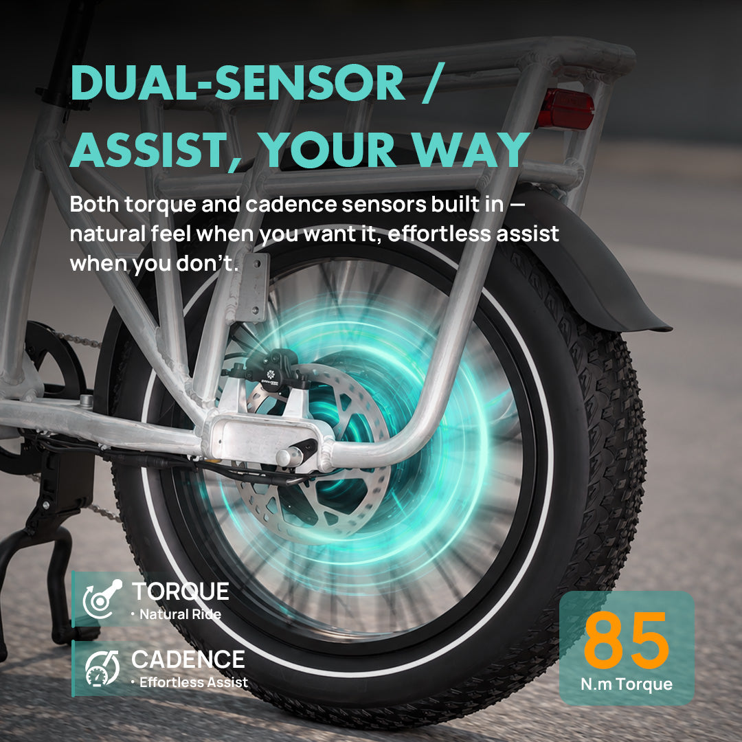 emojo cargo xplorer dual sensor torque and cadence pedal assist system with 85 nm torque for natural ride