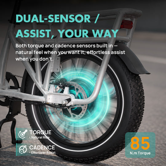 emojo cargo xplorer dual sensor torque and cadence pedal assist system with 85 nm torque for natural ride