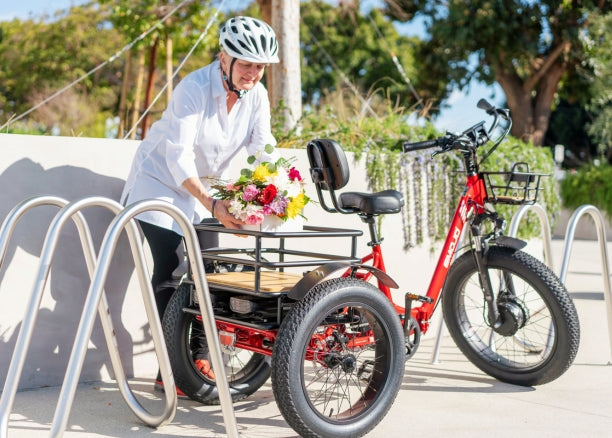 Fat Tire Trike