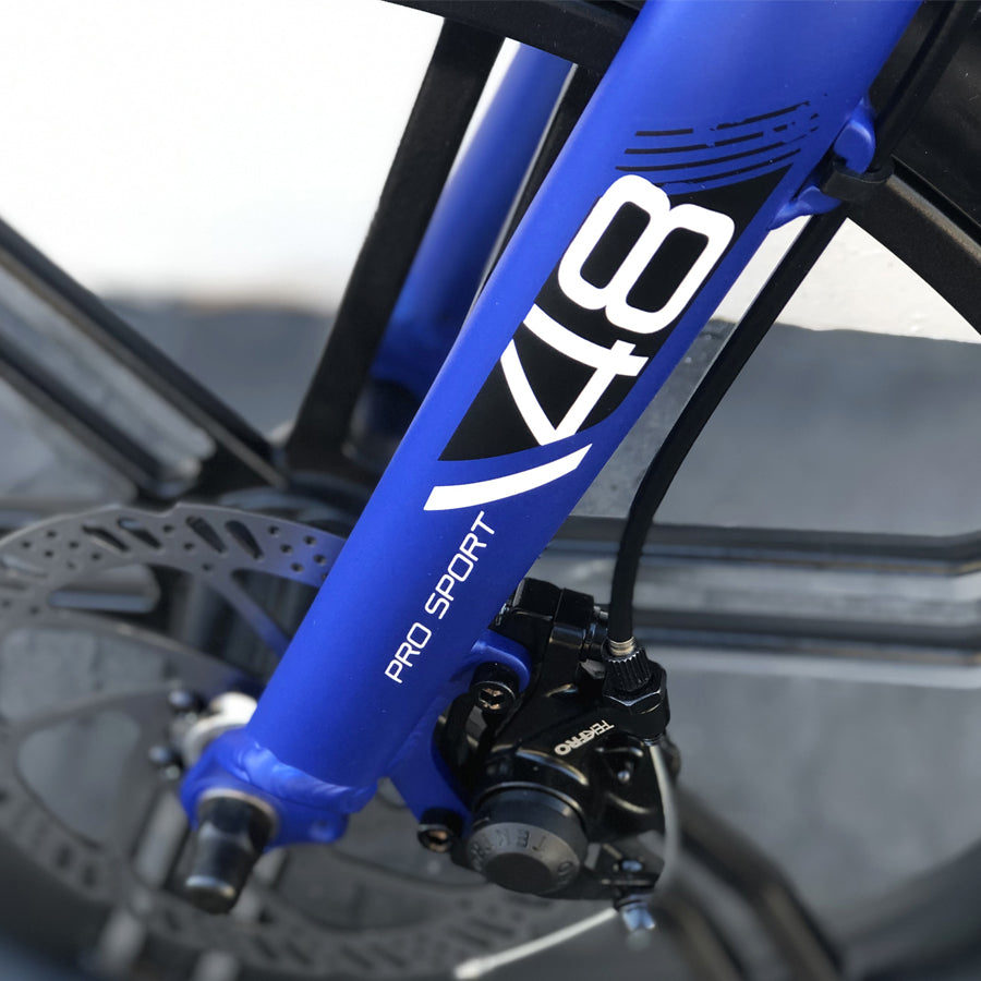 Lynx Pro Sport