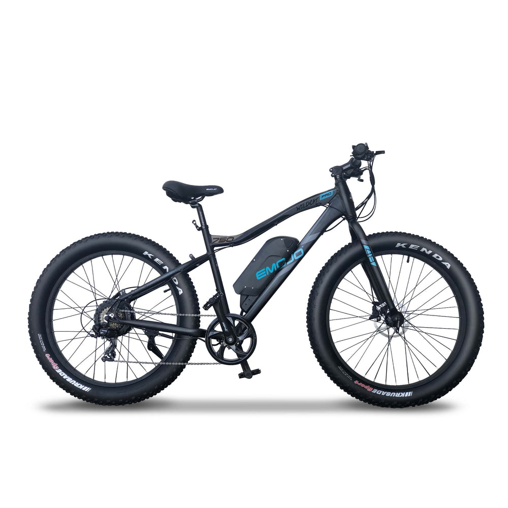 Wildcat Pro 750