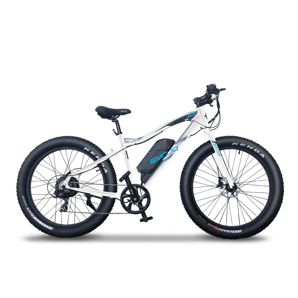 Wildcat Pro 750
